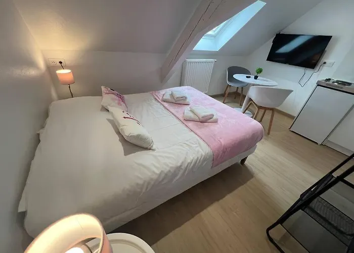 Esprit France, Joli Studio Au Coeur De Mulhouse