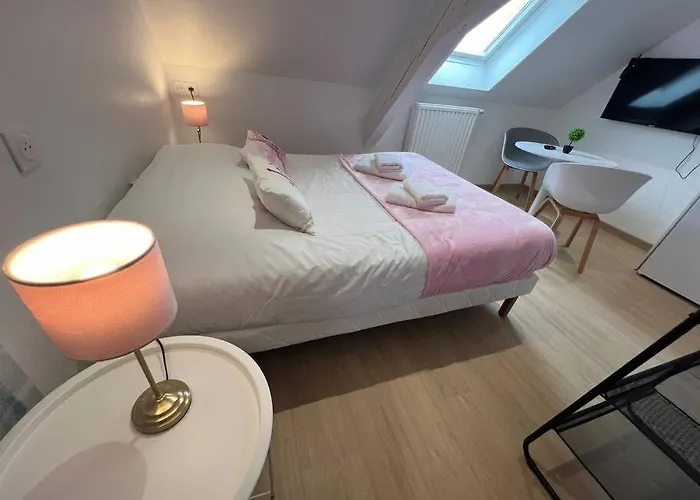Esprit France, Joli Studio Au Coeur De Mulhouse